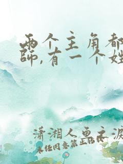 两个主角都是律师,有一个姓陆的小说