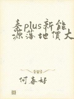秦plus新能源落地价大概多少钱
