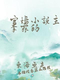 官场小说主角叫李霖的