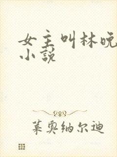 女主叫林晚意的小说