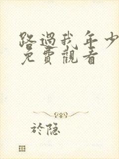 路过我年少时光免费观看