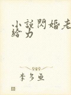 小说闪婚老公太给力 小说闪婚老公太给力