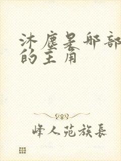 沐尘是哪部小说的主角