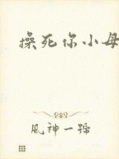 操死你小母狗