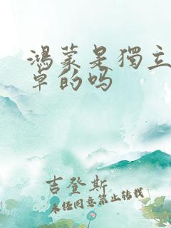 鸿蒙是独立于安卓的吗