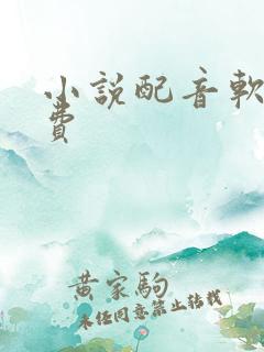 小说配音软件免费