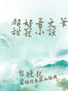超好看文笔好的甜宠小说