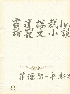 霸道总裁1v1甜宠文小说推荐