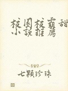 校园校霸甜宠文小说推荐