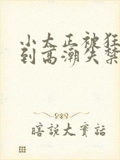 小太正被狂c躁到高潮失禁小说