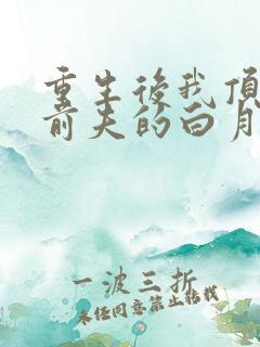 重生后我顶替了前夫的白月光结局