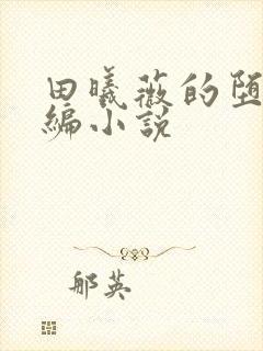 田曦薇的堕落改编小说