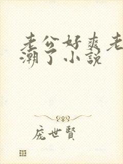 老公好爽老公高潮了小说