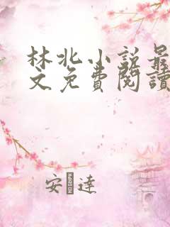 林北小说最新全文免费阅读