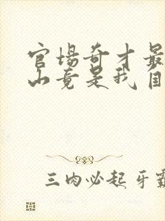 官场奇才最强靠山竟是我自己李霖叫什么名