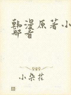韩漫原著小说在哪看
