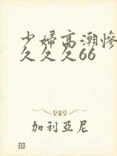 少妇高潮惨叫久久久久66