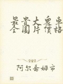 最贵大众车型大全图片价格表