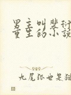 男主叫裴衍女主重生的小说