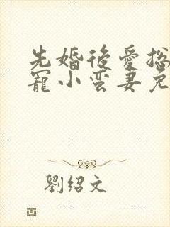 先婚后爱总裁娇宠小蛮妻免费阅读