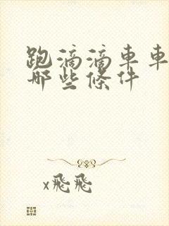 跑滴滴车车需要哪些条件