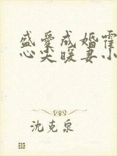盛爱成婚霍少的心尖暖妻小说