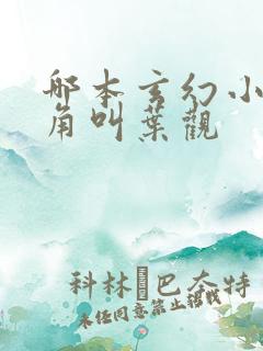 哪本玄幻小说主角叫叶观
