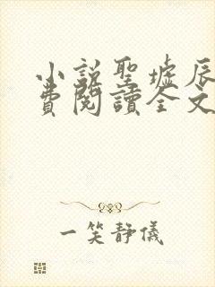 小说圣墟辰东免费阅读全文无窗口