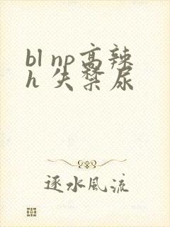 bl np高辣h 失禁尿