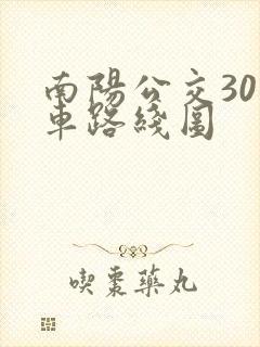 南阳公交30路车路线图