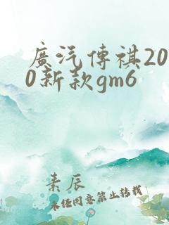 广汽传祺2020新款gm6