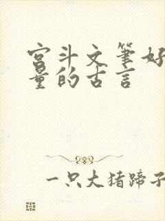 宫斗文笔好高质量的古言