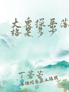 大众探岳落地价格是多少