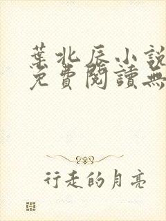 叶北辰小说全文免费阅读无弹窗最新章节