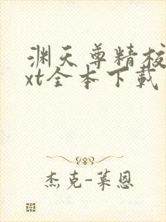 渊天尊精校版txt全本下载