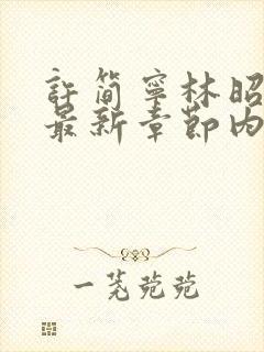 许简宁林昭小说最新章节内容