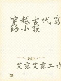 穿越古代写小说的小说