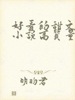 好看的甜文言情小说高质量文笔好 好看的甜文言情小说高质量文笔好