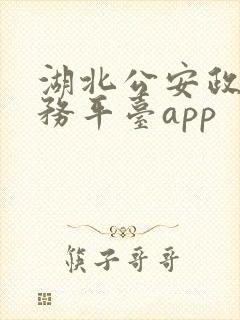 湖北公安政务服务平台app