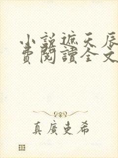 小说遮天辰东免费阅读全文无窗口