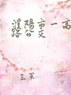 濮阳市一高坐几路公交