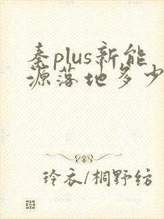 秦plus新能源落地多少钱