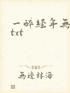 一醉经年无删减txt