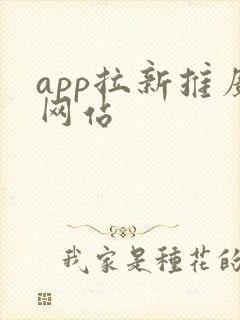 app拉新推广网站