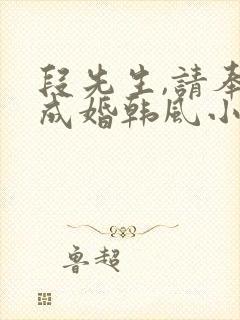 段先生,请奉子成婚韩风小说免费阅读