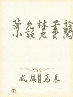 萧允林子衿穿越小说免费阅读无弹窗