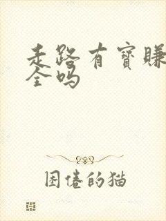 走路有宝赚钱安全吗