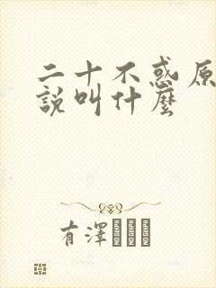 二十不惑原著小说叫什么