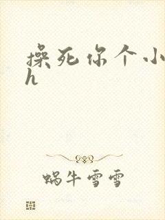 操死你个小骚货h