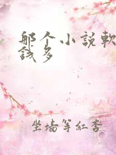 那个小说软件赚钱多